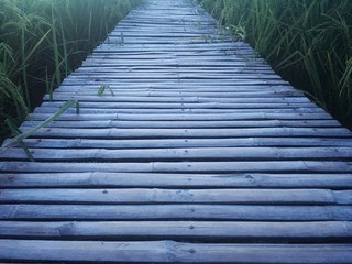 Fototapeta premium Wooden walkway made from dry bamboo and joint by nail. The way go straight through rice field. Way to the nature. Bright and blur of rice field
