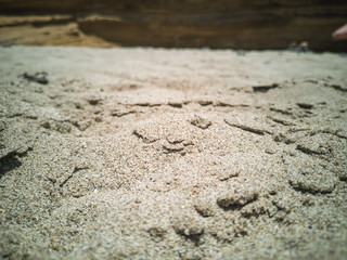 Closeup of sand on beach