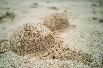 Fototapeta na wymiar Closeup of sand on beach