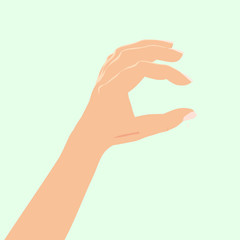 Hand hold, okay hand sign, blue background, vector, illustration, isolated
