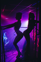 Obraz na płótnie Canvas slender girl dancer in a nightclub posing on stage