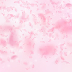 Sakura petals falling down. Romantic pink flowers 
