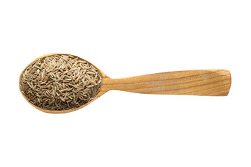 caraway seed in wooden spoon isolated on white background. spice for cooking food, top view.