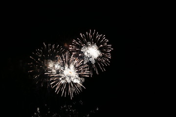 Fototapeta premium Fuegos Artificiales
