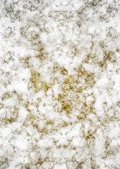 White Marble with Gold Glitters