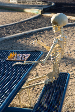 Skeleton playing chess on a picnic bench outside