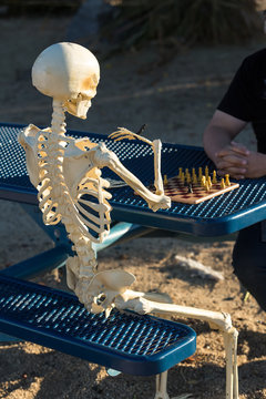 Person playing chess with skeleton in a park