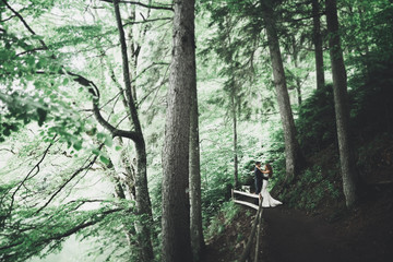 Happy wedding couple walking in a botanical park
