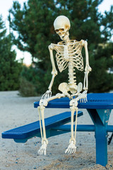 Depressed skeleton sits sadly on a picnic table alone
