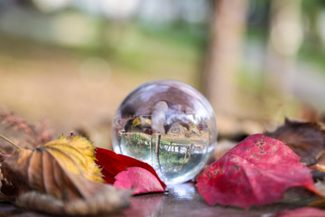 easter eggs on green background