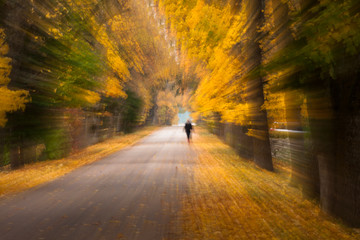 Fototapeta na wymiar Abstract autumnal road