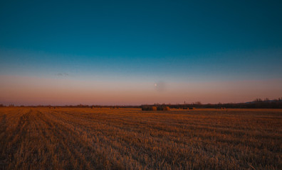 Magnificent field after haymaking with hay collected in the rays of sunset