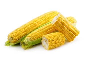 Corn on a white background