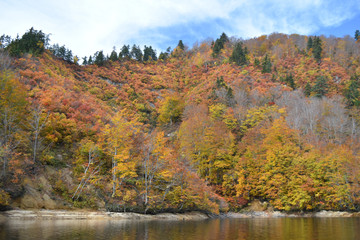 カヤックから見た紅葉の奥利根湖