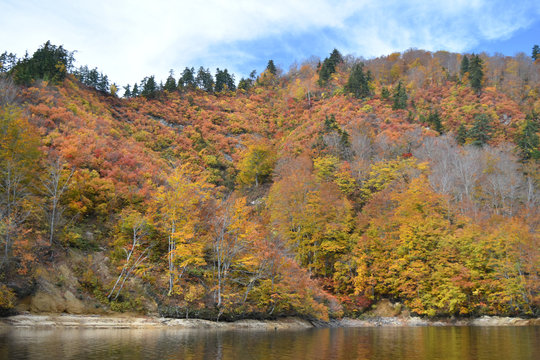 38 Best 奥利根湖 Images Stock Photos Vectors Adobe Stock