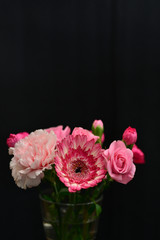 carnation