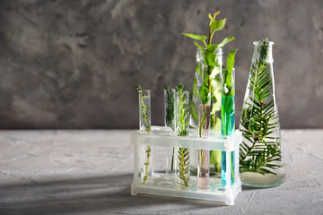 Test tubes and bottles with herbs on grey table