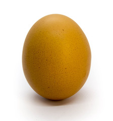 egg