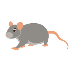 rat  vector illustration flat style profile side
