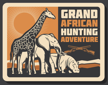 African Safari animals hunting, vector