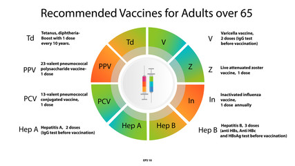 Vector  infographic recommended adult 65 vaccines