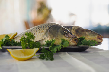 Raw fish on metallic dish with greens and lemon on white table. Indoors. Horizontal.