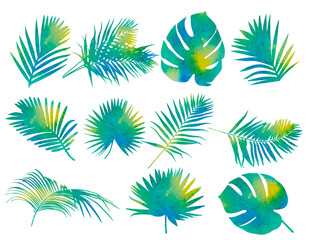 Fototapeta na wymiar watercolor palm leaf, set