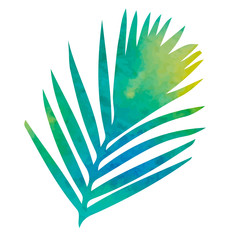 vector, on a white background watercolor silhouette palm leaf