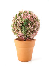 green artificial plant isolated on white background