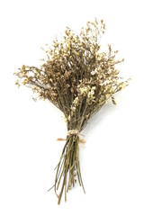 dried flower bouquet isolated on white background