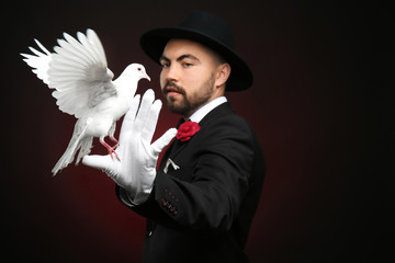 Male magician with white pigeon on dark background