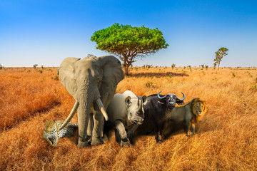 Africa safari scene with wild animals. African Big Five: Leopard, Elephant, Black Rhino, Buffalo...