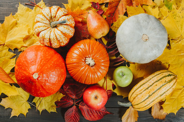 Pumpkins with ripe apples and pear on colorful maple leaves. Autumn seasonal image. Top view