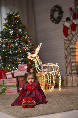 Girl in a dress meets christmas