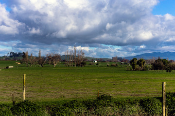 Fototapeta na wymiar Countryside in New Zealand
