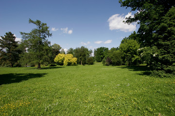 park