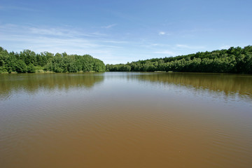 Fototapeta na wymiar pond in forest