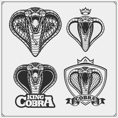 King cobra heraldry coat of arms. Labels, emblems and design elements for sport club.