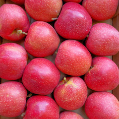fresh juicy red apples top view closeup, natural background