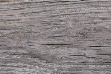 Fototapeta premium Tekstura starego szarego drewna. Abstrakcyjne tło.