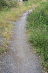 Autumn scenery of riverside path