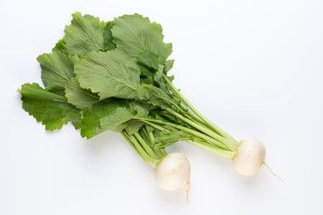 Fresh white round turnip radish on white background.