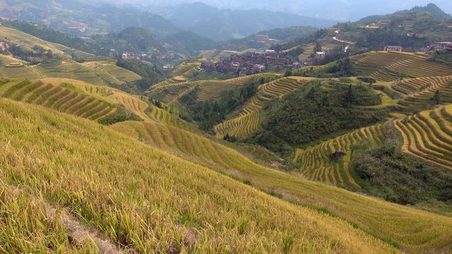 &nbsp;A scenic view of Longji Rice Terraces of Longsheng with Dazhai and  Pingan Village