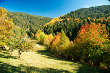 Fototapeta premium Vallata alpina in autunno