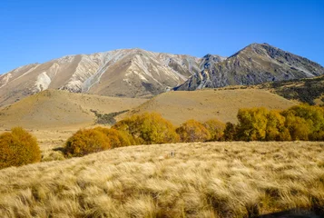 Poster Mountain fields landscape in New Zealand © daboost
