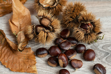 some chestnuts on the wooden table