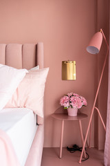 Cozy Pink Bedroom corner with baby pink velvet fabric bed decorated byblanket, pillows, lamps and...