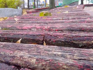 Bench landscape nature texture wood 