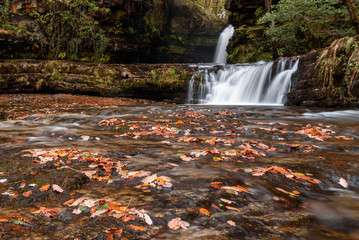Waterfall Ddwli Isaf near pontneddfechan in the brecon beacons national park, Wales. It is autumn, and golden leaves are all around.  Long shutter speed for a smooth effect on the water