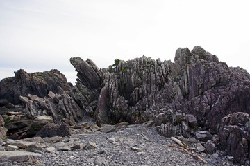 室戸岬のタービダイト層